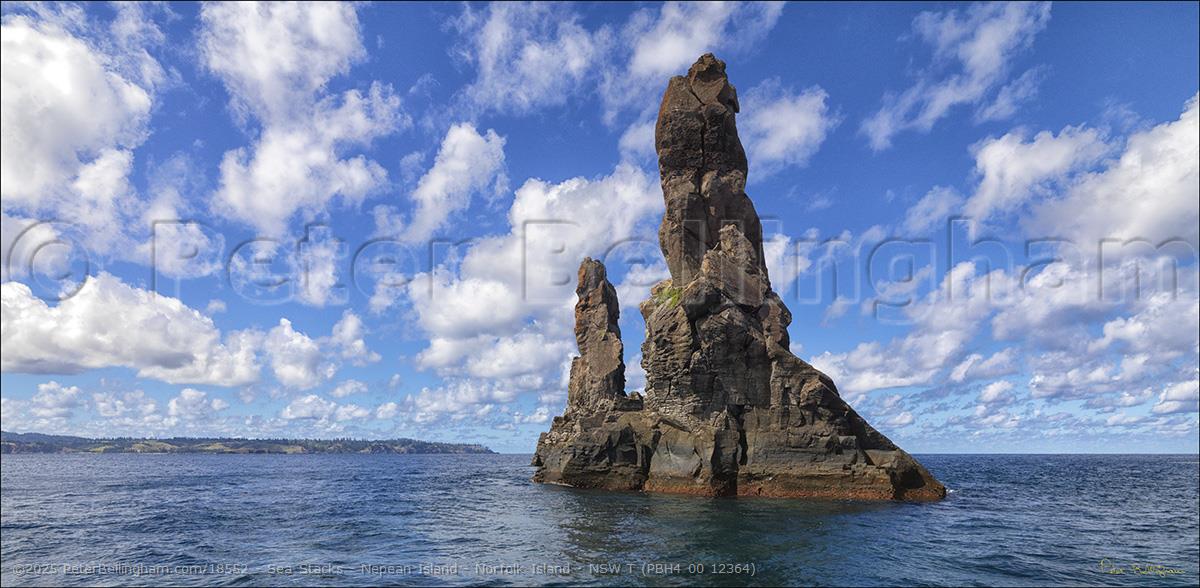 Peter Bellingham Photography Sea Stacks - Nepean Island - Norfolk Island - NSW T (PBH4 00 12364)